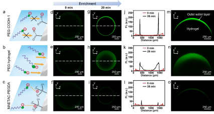 1650006683911079.png image.png