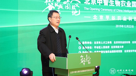 1577258346464182.jpg 11.jpg