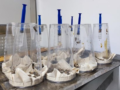 1719798997866685.jpg 图片16.jpg