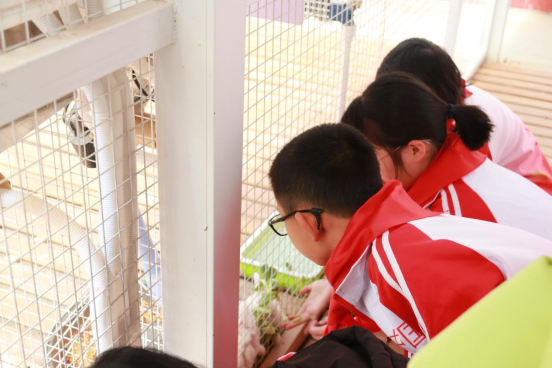 1680259531857924.png image.png