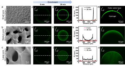 1650006713334482.png image.png