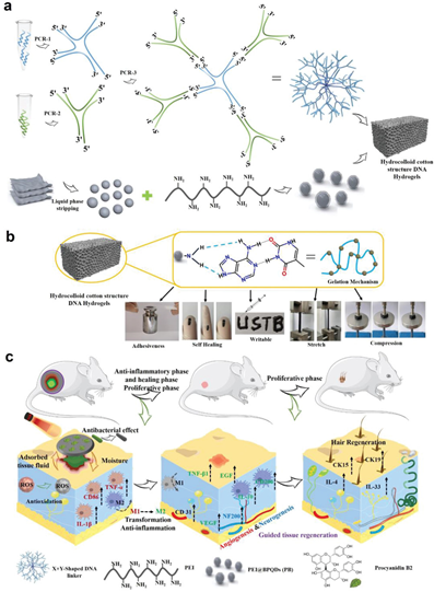 1646286691163730.png 图片2.png