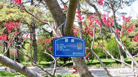 48b6b0748ca82ba2d573f92b4f411b24.jpg 2.jpg