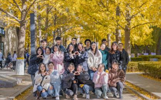 1703223142427271.png image.png