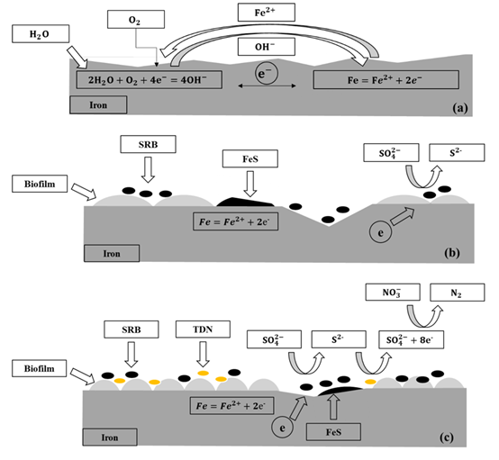 1698915914339340.png image.png